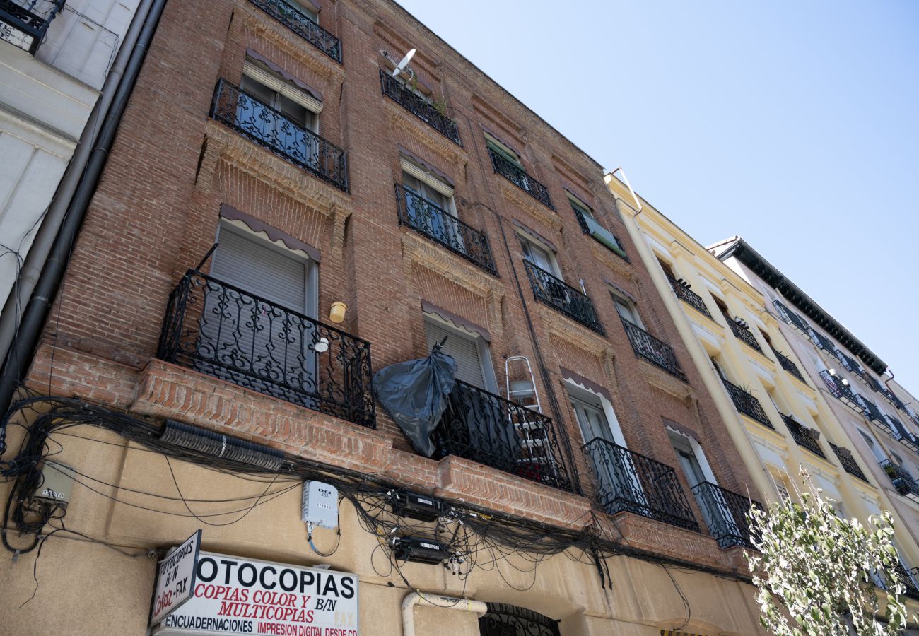 Apartment in Madrid - Ap. Embajadores-Lavapiés AMP98