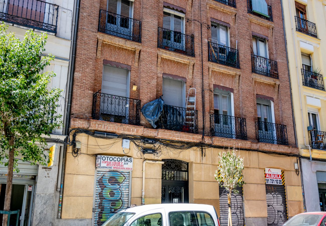 Apartment in Madrid - Ap. Embajadores-Lavapiés AMP98