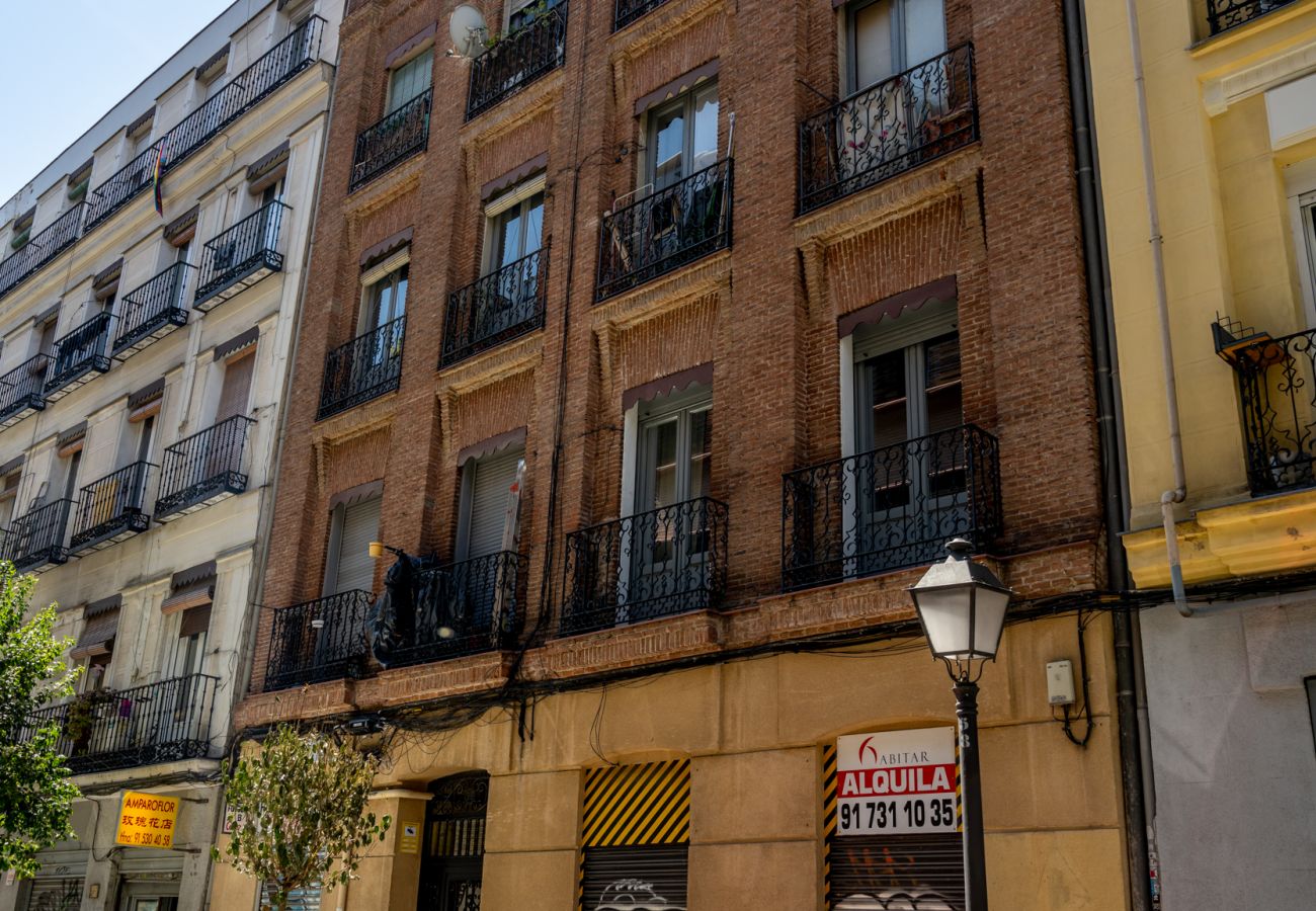 Apartment in Madrid - Ap. Embajadores-Lavapiés AMP98