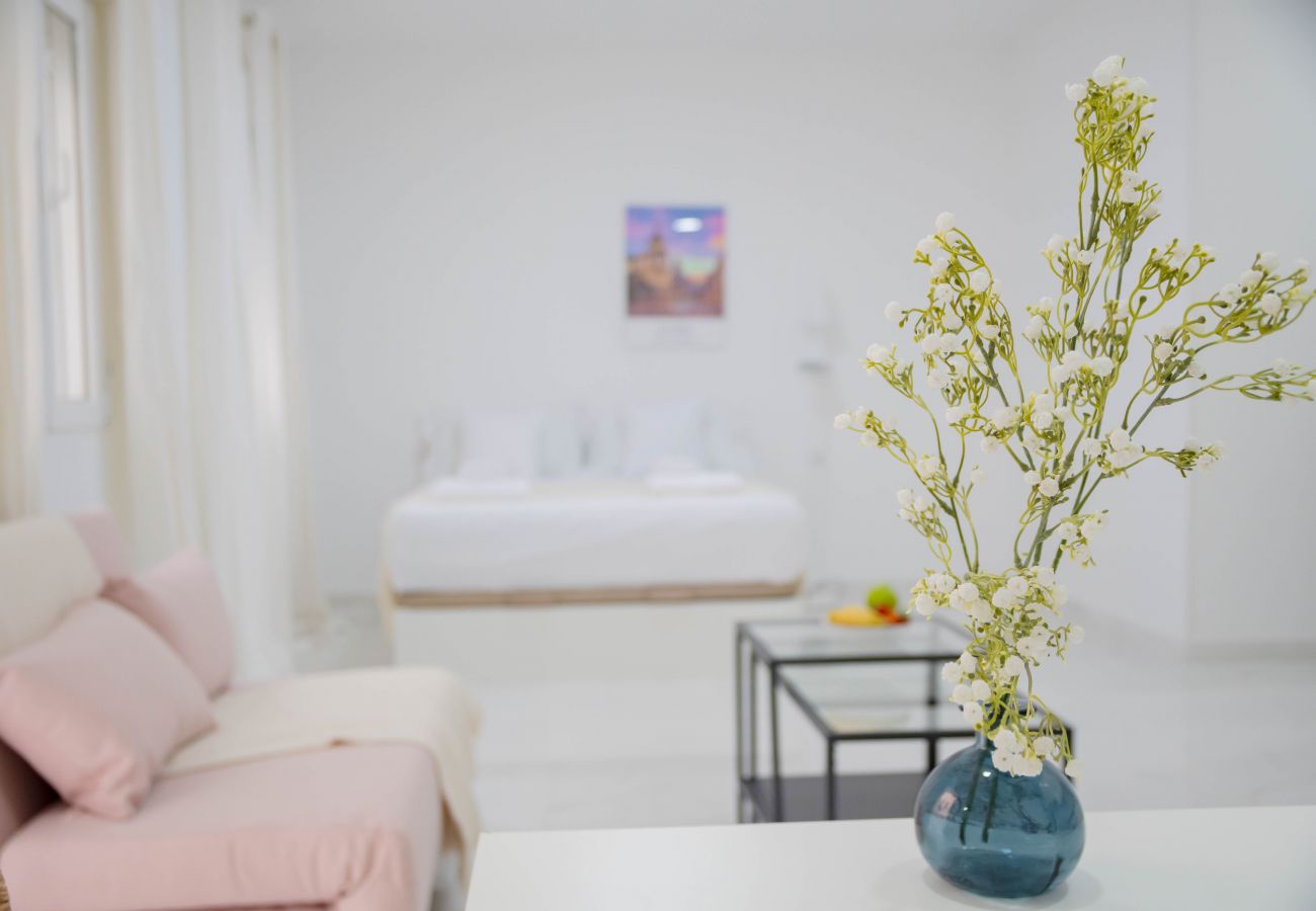 Studio in Madrid - M (MLUBº2) TETUAN "EL RETIRO"