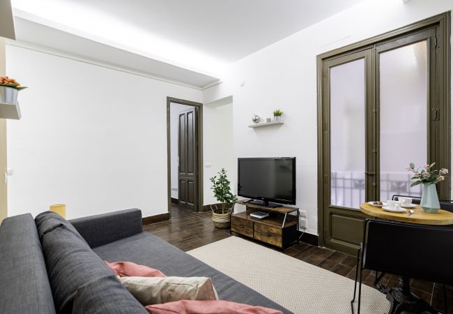  in Madrid - Cozy apartment in the center of Madrid M (PDJ6)