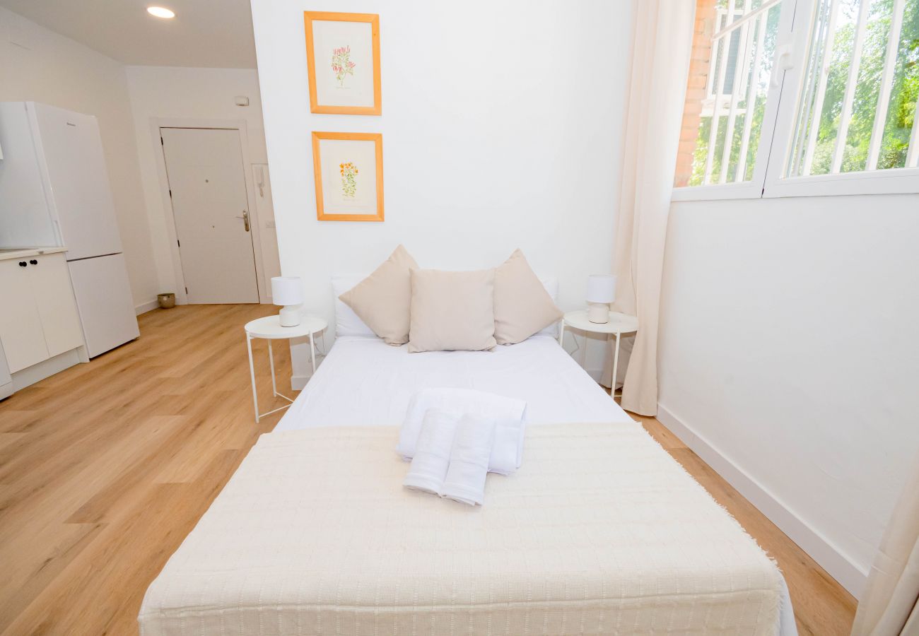 Apartment in Madrid - Cozy and charming 3-bedroom apartment in Madrid M (ASR18)