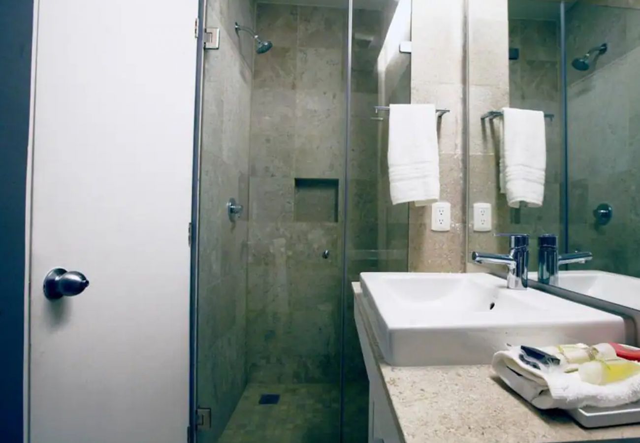 Apartment in Ciudad de México - Magic Loft in Downton of Mexico City
