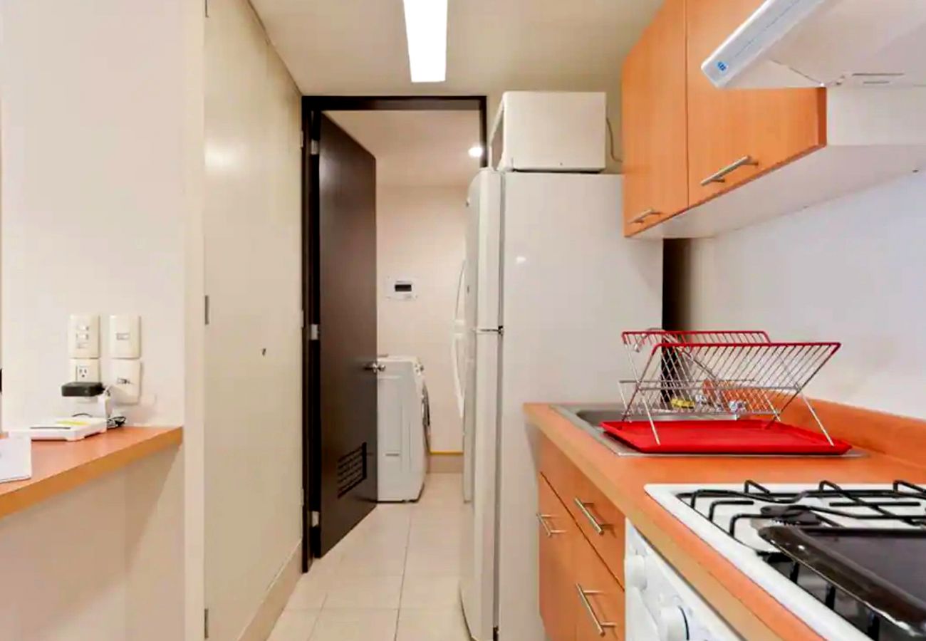 Apartment in Ciudad de México - Comfortable apartment in downtown cdmx