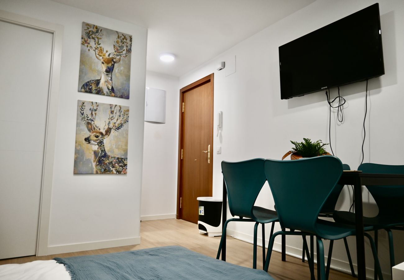 Studio in Madrid - Spacious and bright apartment in Pasaje Virgen de la Alegría