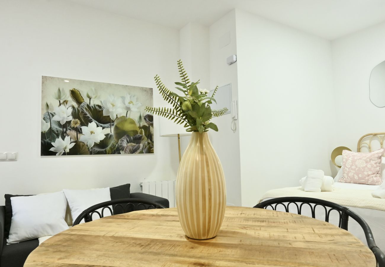 Studio in Madrid - Encantador Estudio con Cama Doble y Sofá Cama, Patio Compartido MPE35H