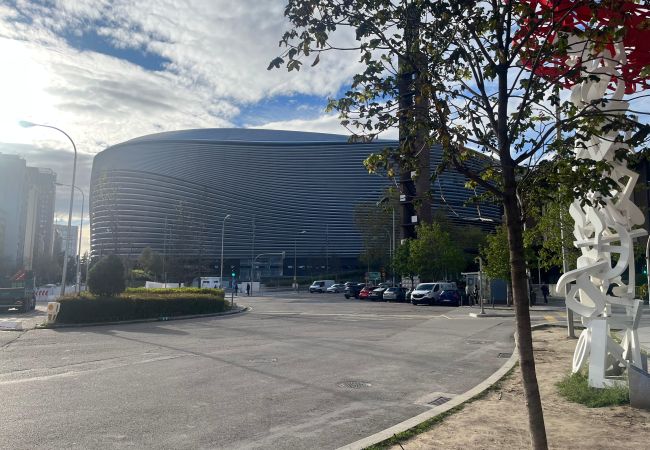 Apartment in Madrid - M (COE35) Bernabeu Stadium