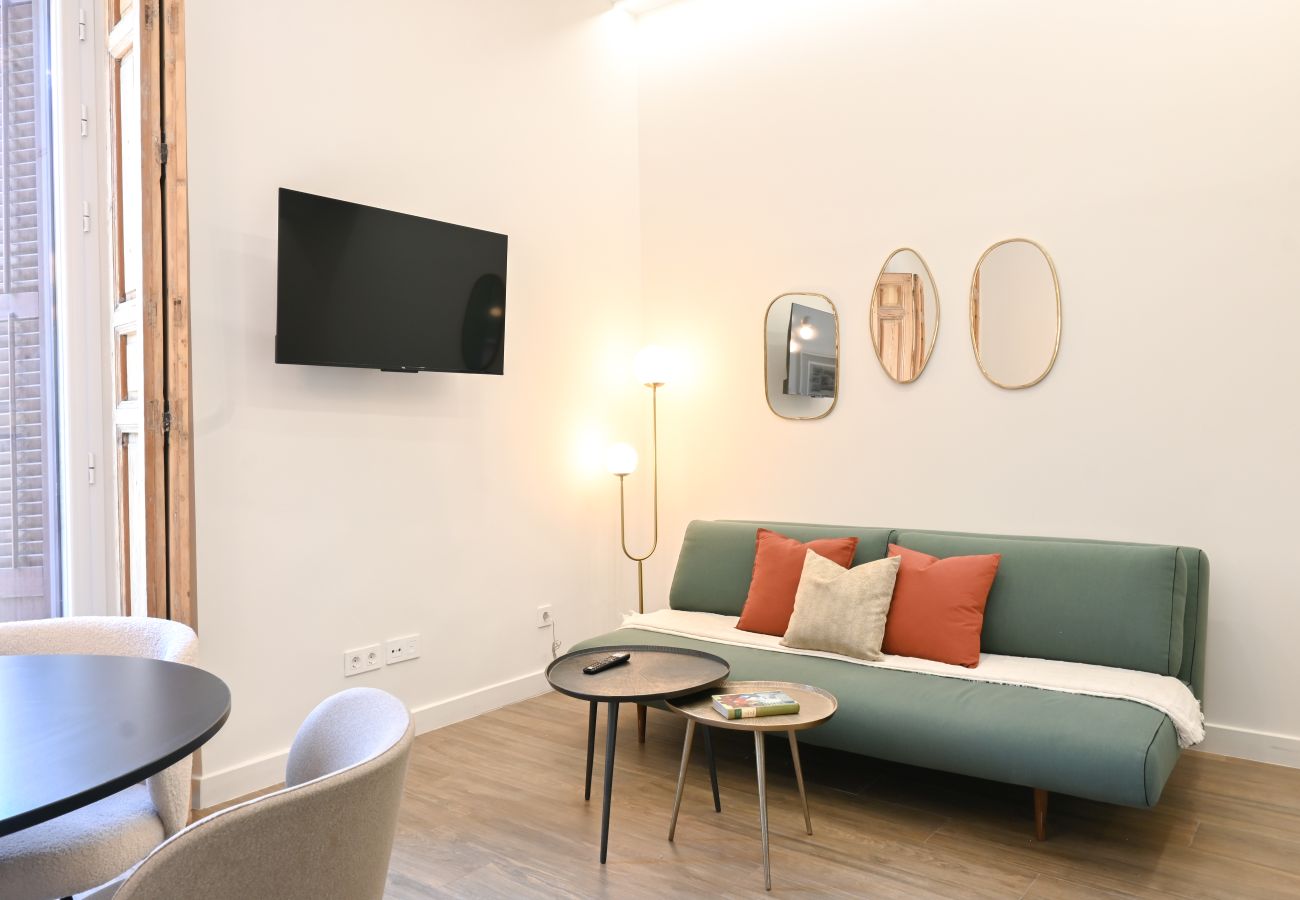 Studio in Madrid - M (ETD1) Céntrico y Luminoso Apartamento  en Madri