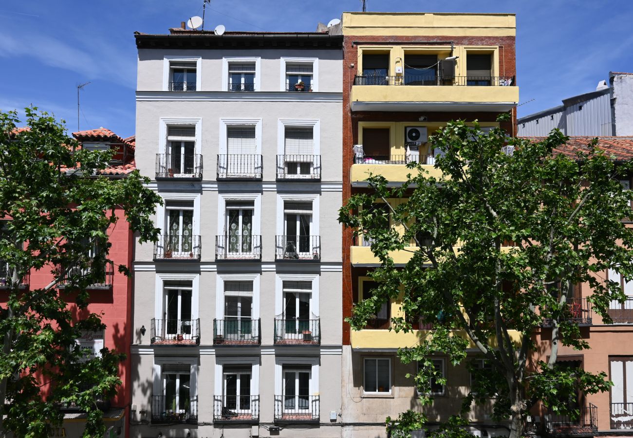Studio in Madrid - M (ETD1) Céntrico y Luminoso Apartamento  en Madri