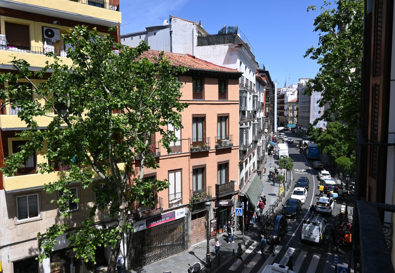 Studio in Madrid - M (ETD1) Céntrico y Luminoso Apartamento  en Madri