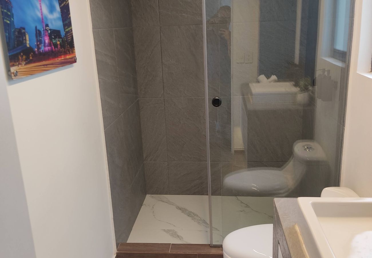 Apartment in Ciudad de México - MX (GDV 76-2) Loft Angel de la Independencia
