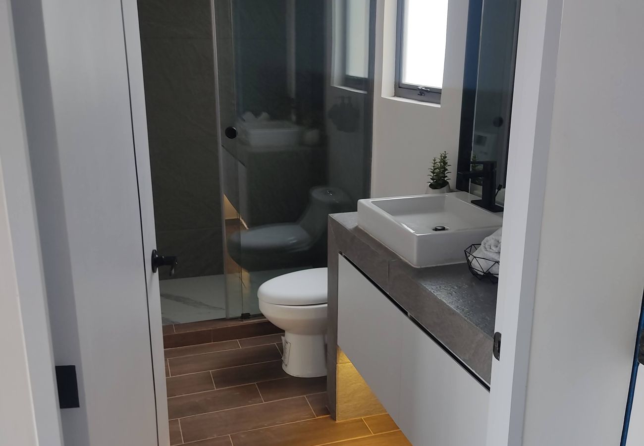 Apartment in Ciudad de México - MX (GDV 76-2) Loft Angel de la Independencia