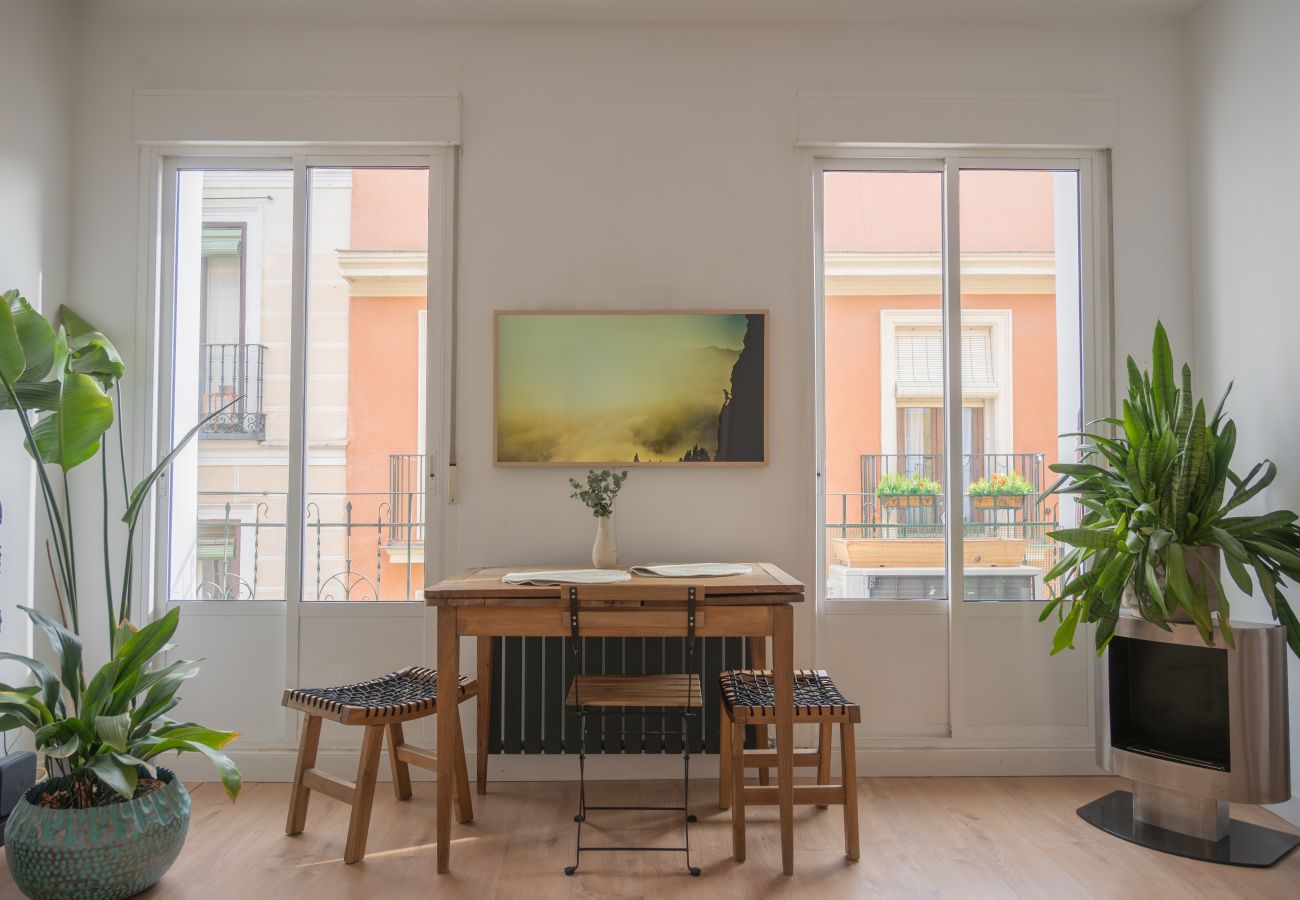 Apartment in Madrid - M (PRI103C) Primavera Urbana