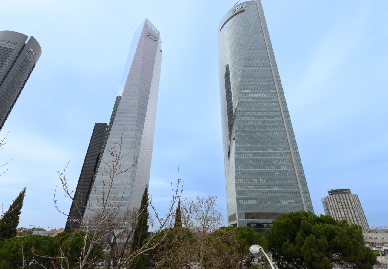 Apartment in Madrid - Charmartin 4 Towers: 2 bedrooms ideal for families and business travellers 