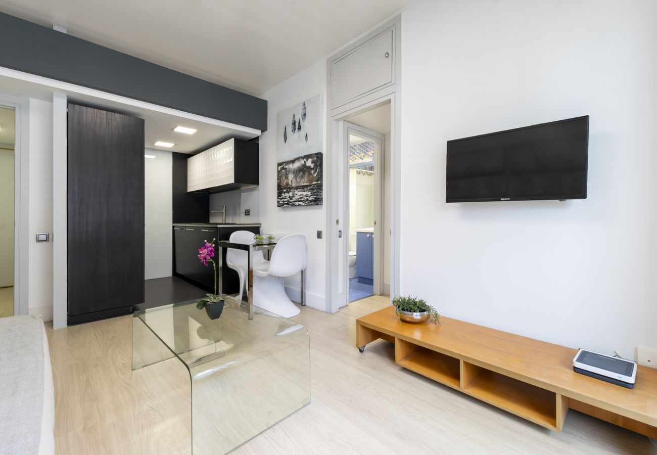 Apartment in Madrid - M (ORE18)Piso de 1 dormitorio con terraza-Alquiler