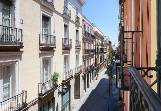 Apartment in Madrid - M (CER822)Apartamento de 1 dormitorio con balcón Apartment in Madrid - M (CER822)Apartamento de 1 dormitorio con balcón