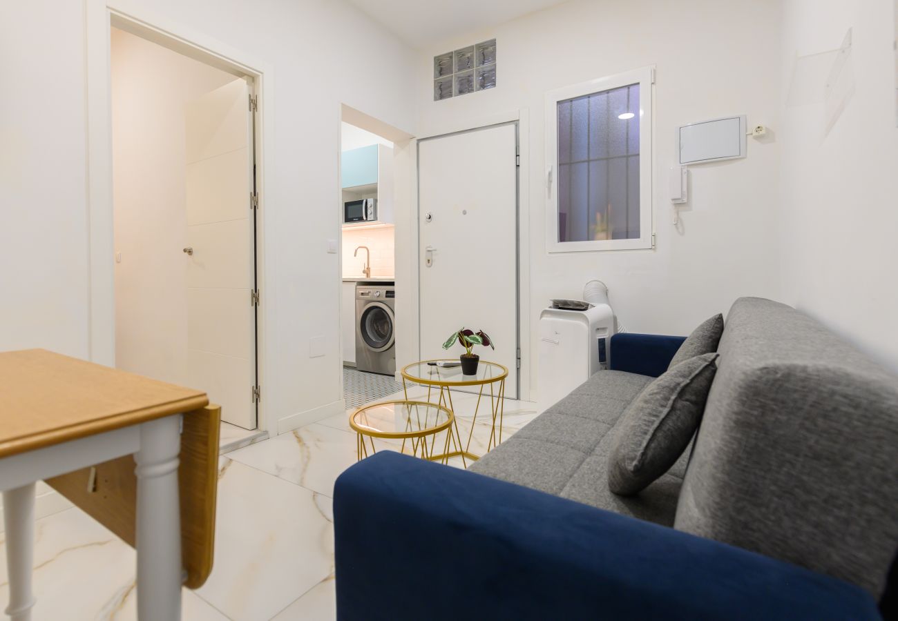Apartment in Madrid - M (AMA4115) Cómodo apartamento de un dormitorio en