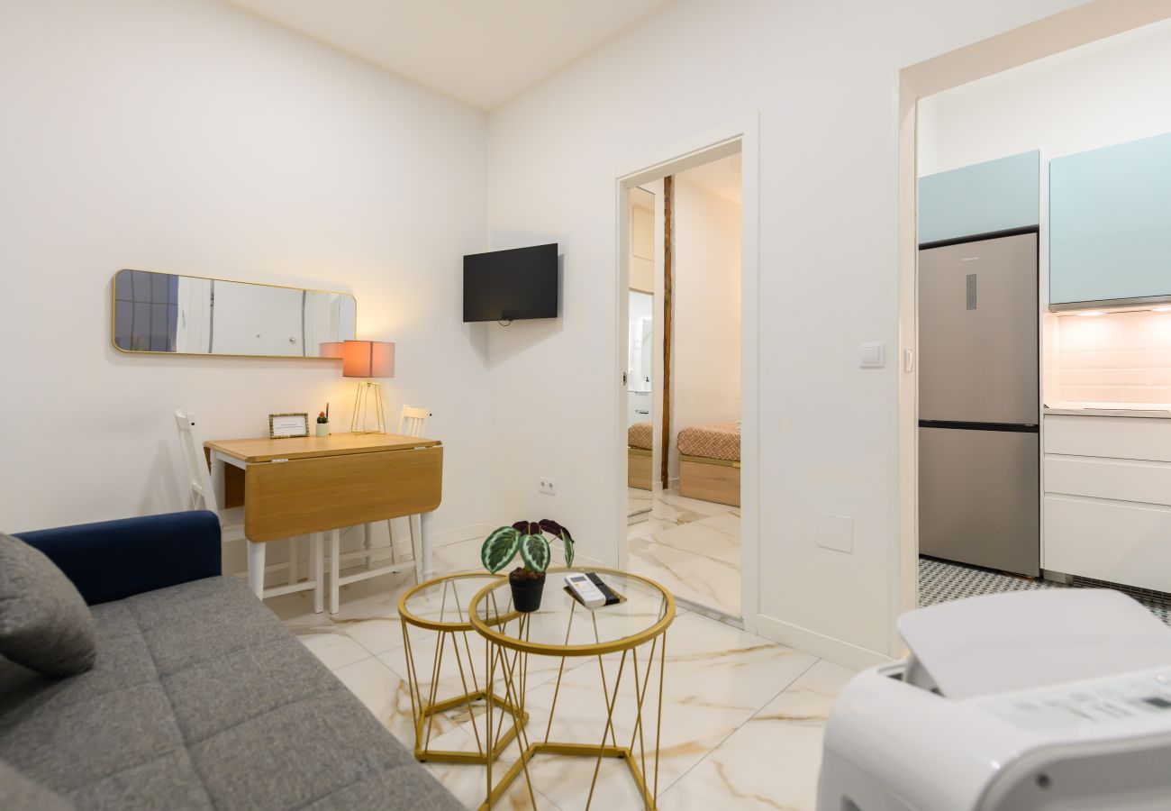 Apartment in Madrid - M (AMA4115) Cómodo apartamento de un dormitorio en