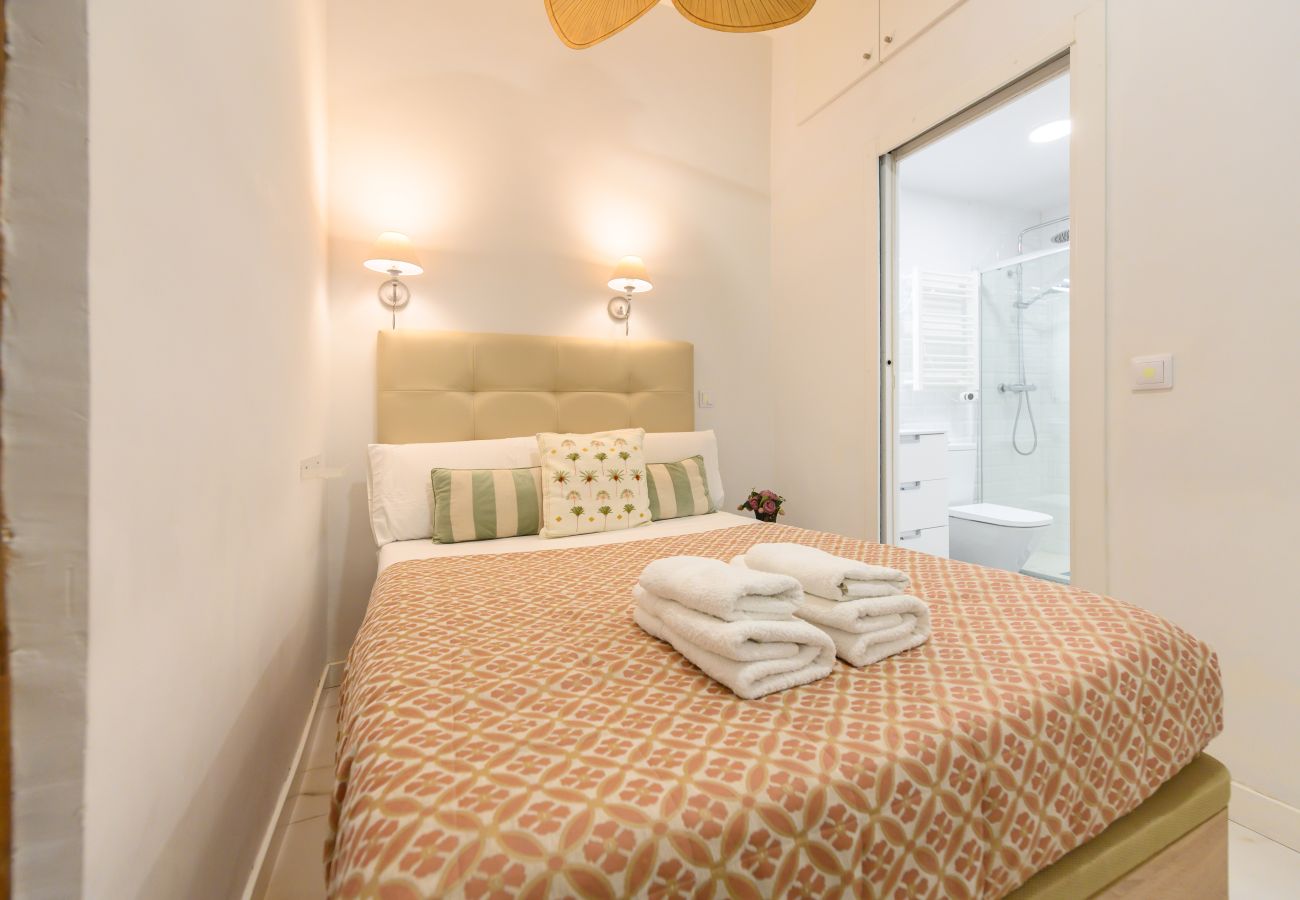 Apartment in Madrid - M (AMA4115) Cómodo apartamento de un dormitorio en