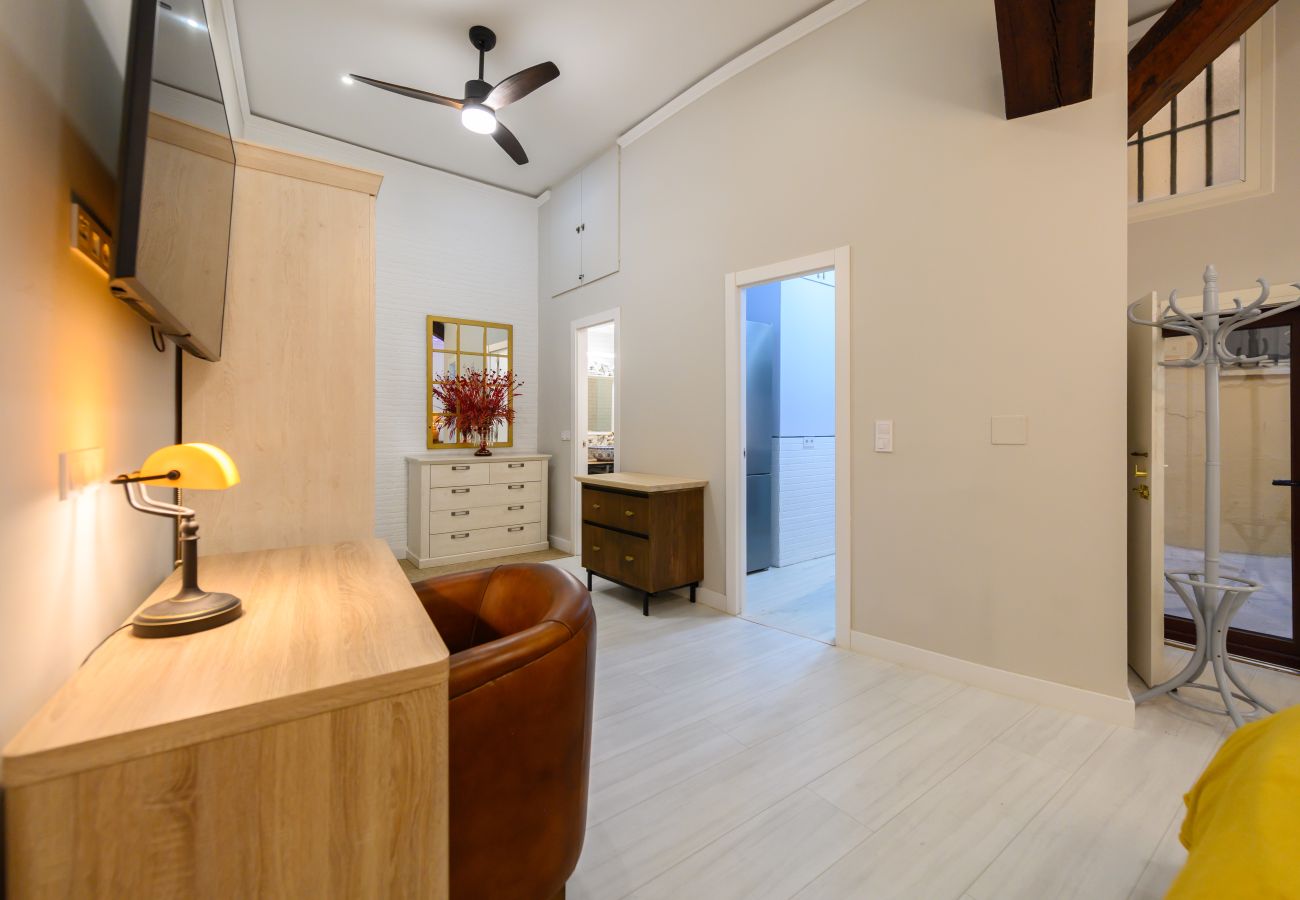 Apartment in Madrid - M (PDA2BI) Amplio y cómodo apartamento de un dormi