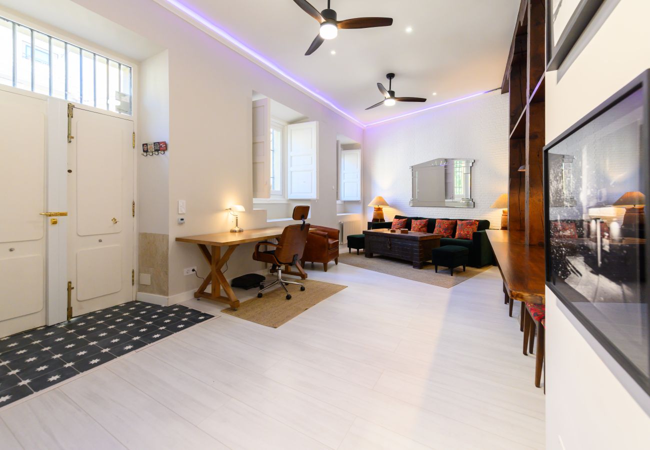 Apartment in Madrid - M (PDA2BI) Amplio y cómodo apartamento de un dormi