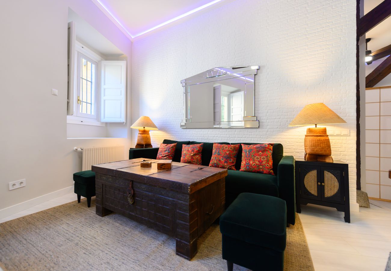 Apartment in Madrid - M (PDA2BI) Amplio y cómodo apartamento de un dormi