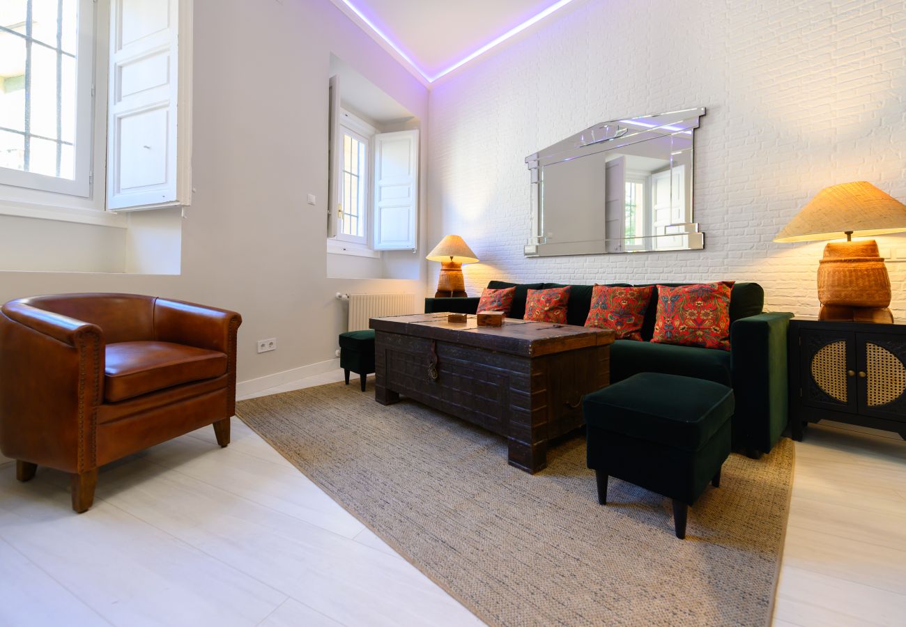 Apartment in Madrid - M (PDA2BI) Amplio y cómodo apartamento de un dormi