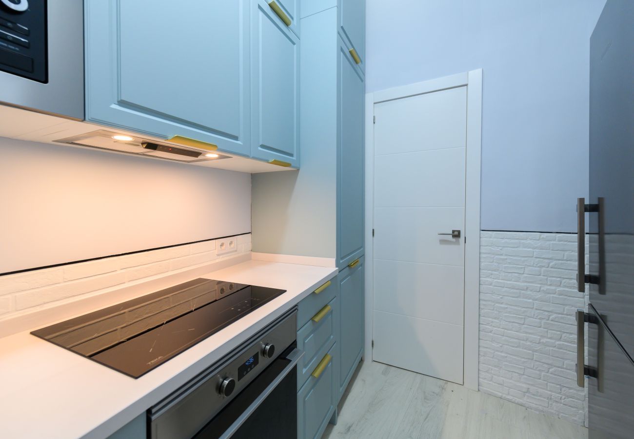 Apartment in Madrid - M (PDA2BI) Amplio y cómodo apartamento de un dormi