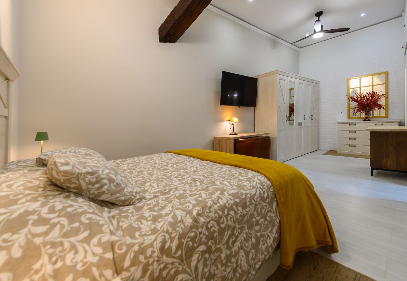 Apartment in Madrid - M (PDA2BI) Amplio y cómodo apartamento de un dormi
