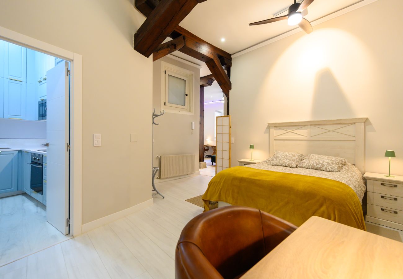 Apartment in Madrid - M (PDA2BI) Amplio y cómodo apartamento de un dormi