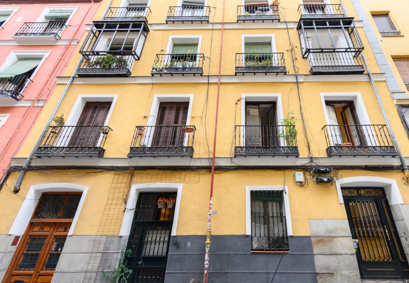 Apartment in Madrid - M (SCSD14) Amplio piso exterior de 2 dormitorios e