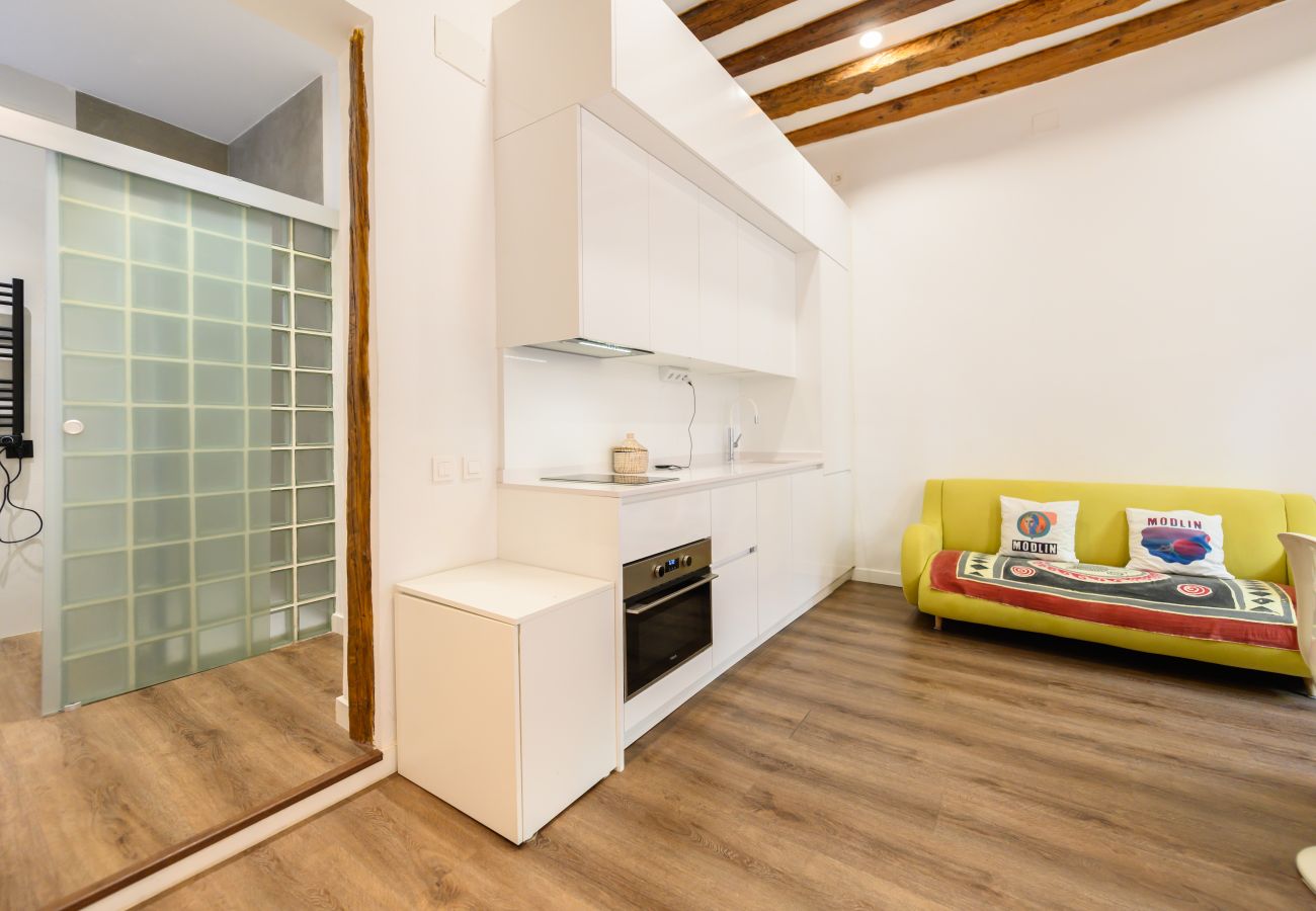 Studio in Madrid - M (HOR42DA) Estudio moderno y totalmente equipado