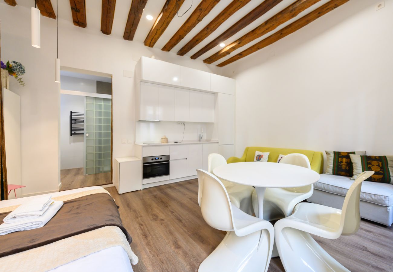 Studio in Madrid - M (HOR42DA) Estudio moderno y totalmente equipado