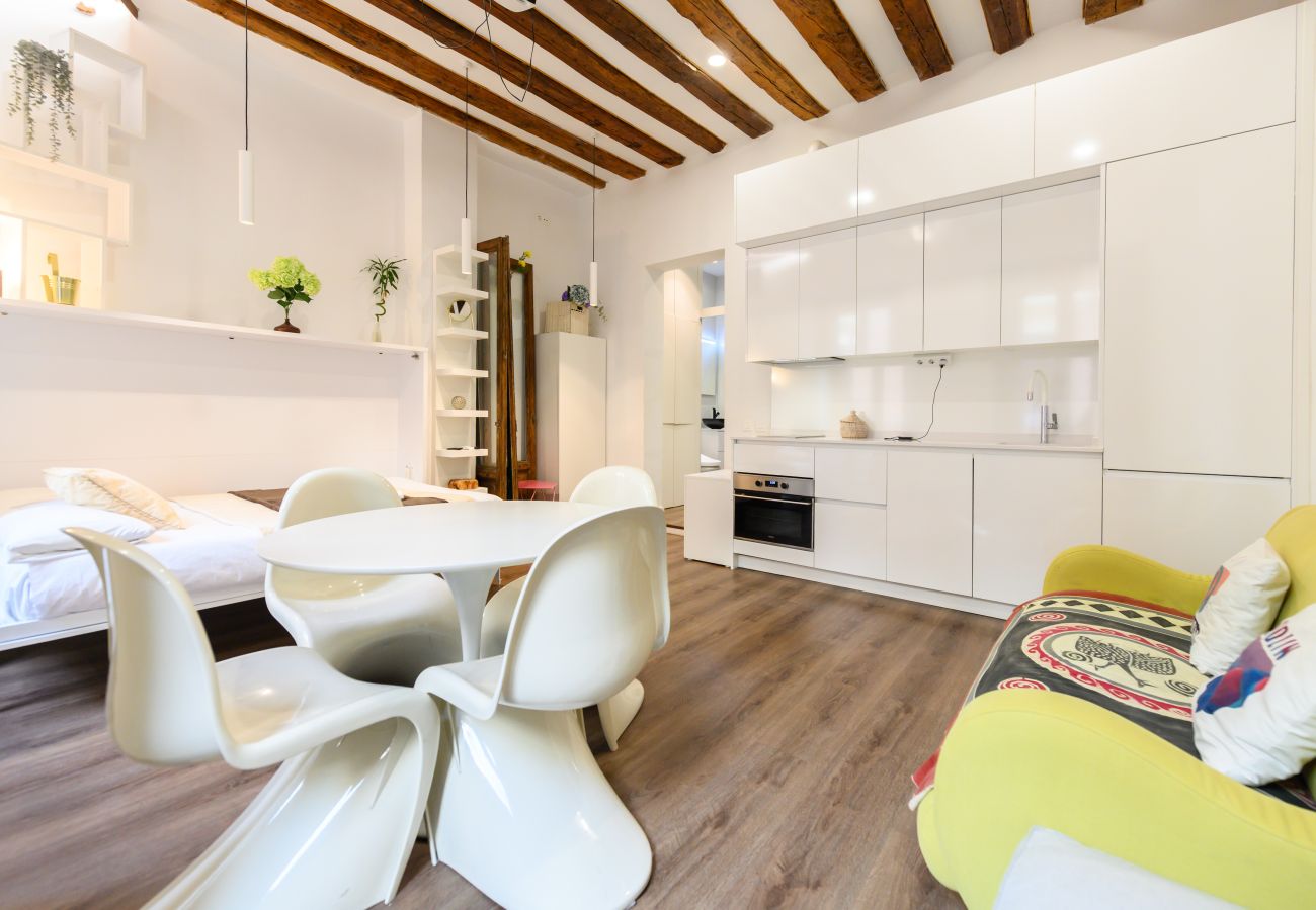 Studio in Madrid - M (HOR42DA) Estudio moderno y totalmente equipado