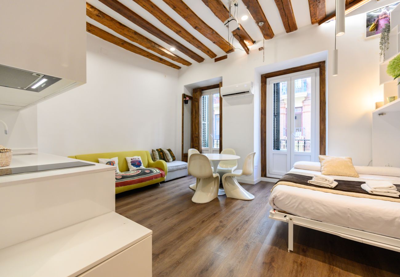 Studio in Madrid - M (HOR42DA) Estudio moderno y totalmente equipado