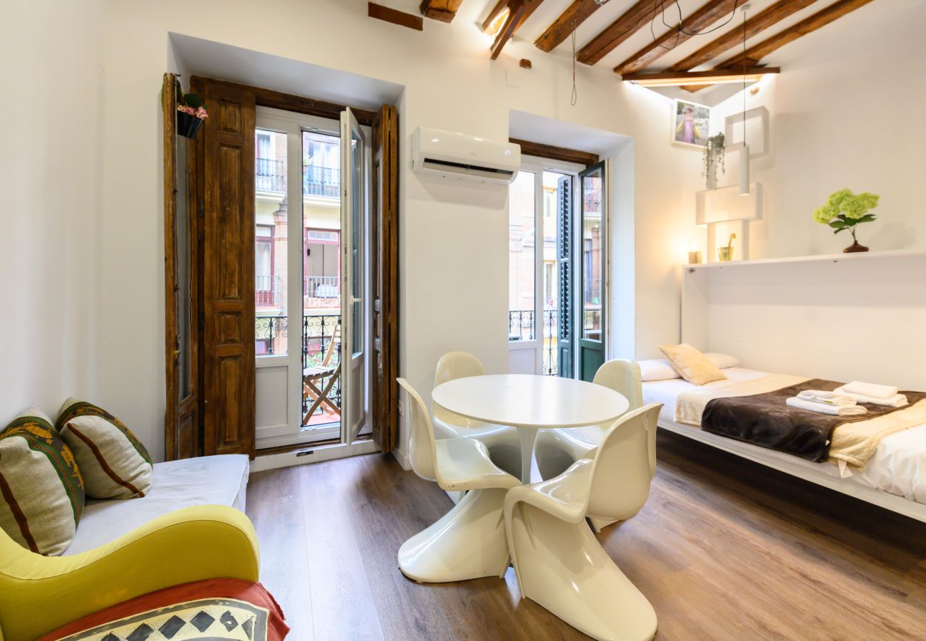 Studio in Madrid - M (HOR42DA) Estudio moderno y totalmente equipado