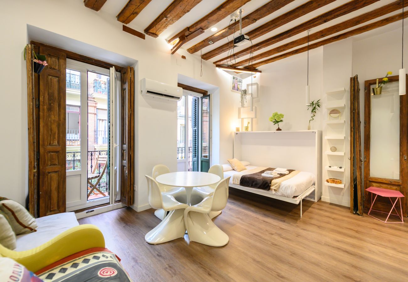Studio in Madrid - M (HOR42DA) Estudio moderno y totalmente equipado