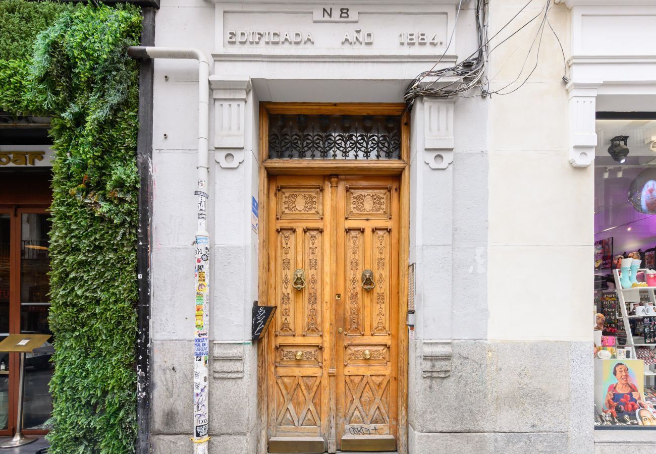 Apartment in Madrid - M (VAL81A) Amplio estudio en el centro de Madrid