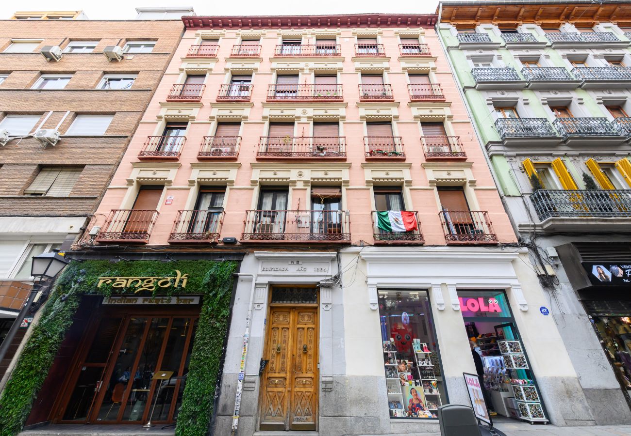 Apartment in Madrid - M (VAL81A) Amplio estudio en el centro de Madrid