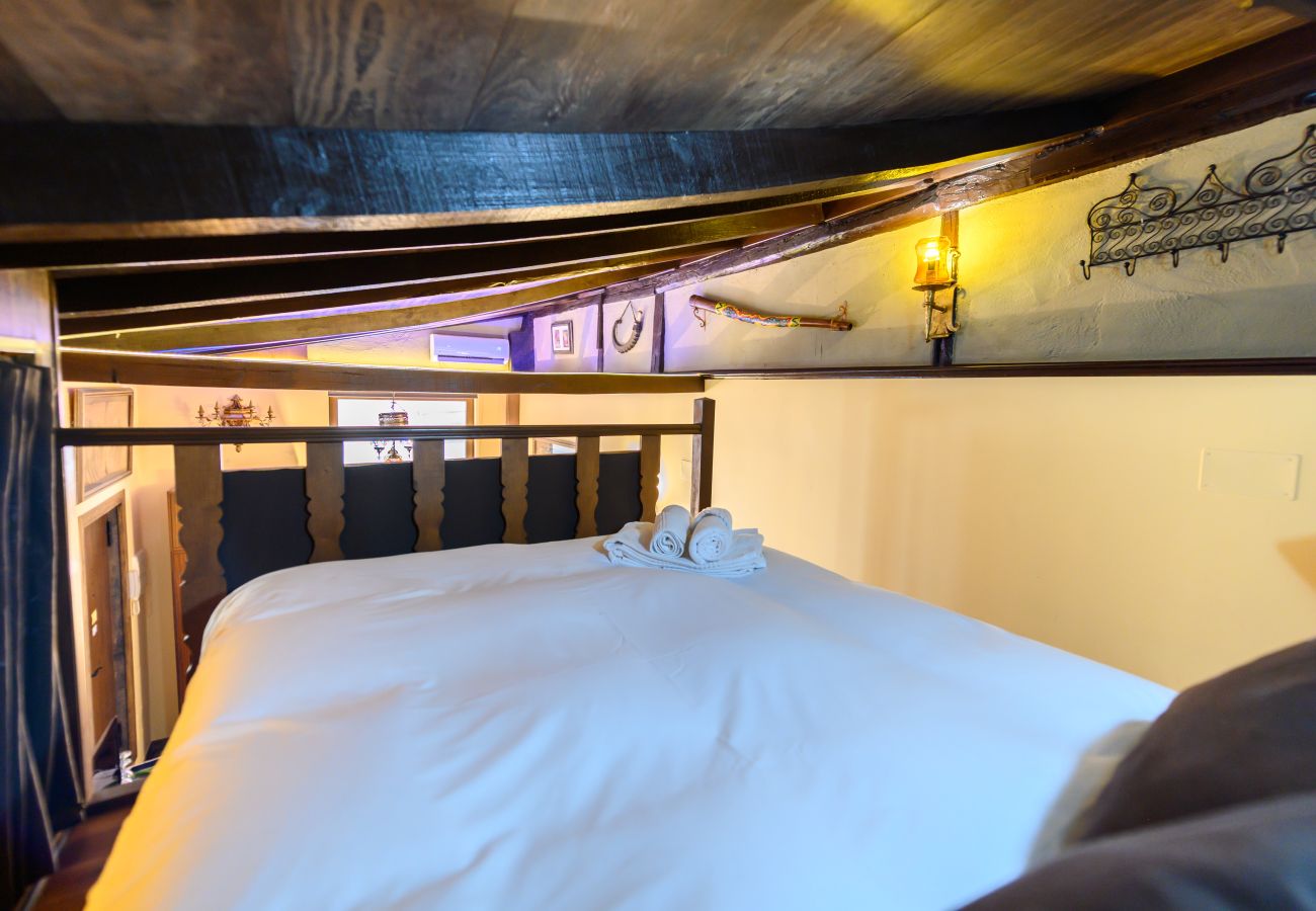 Apartment in Madrid - M (SLU33) Amplio Loft en La Latina