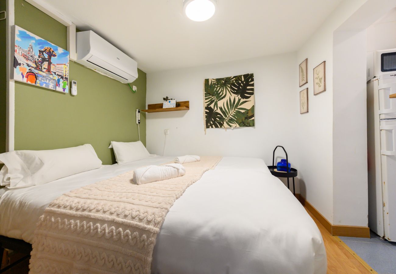 Studio in Madrid - M (SVF1304) Acogedor Estudio en Centro de Madrid