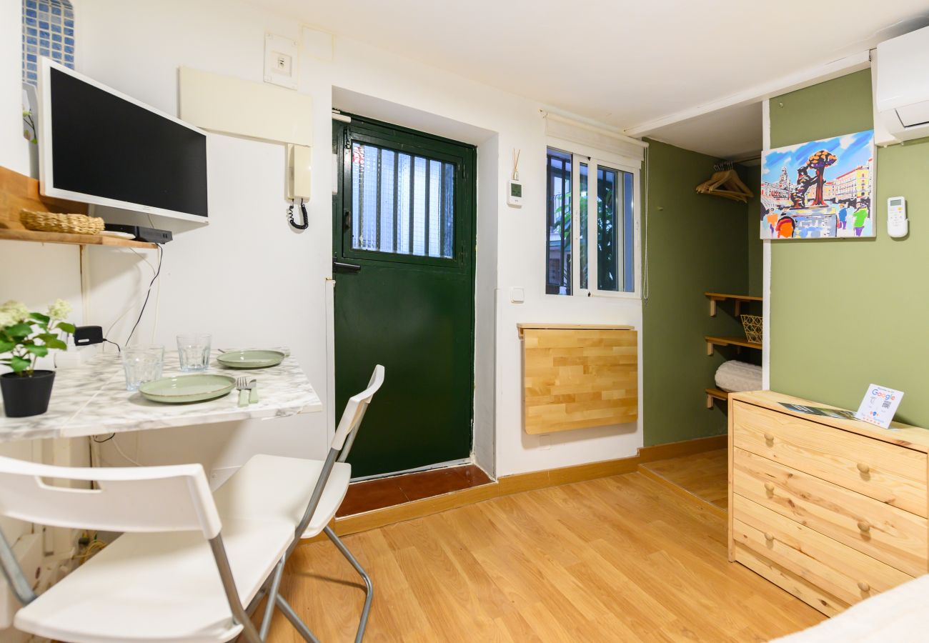 Studio in Madrid - M (SVF1304) Acogedor Estudio en Centro de Madrid