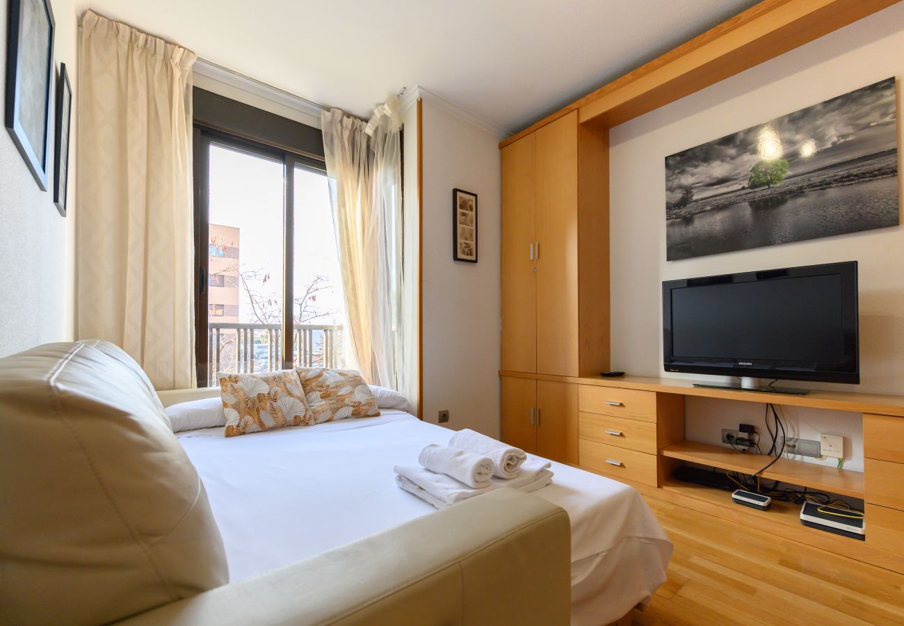 Apartment in Madrid - M (SAM12) Fantástico piso de un dormitorio