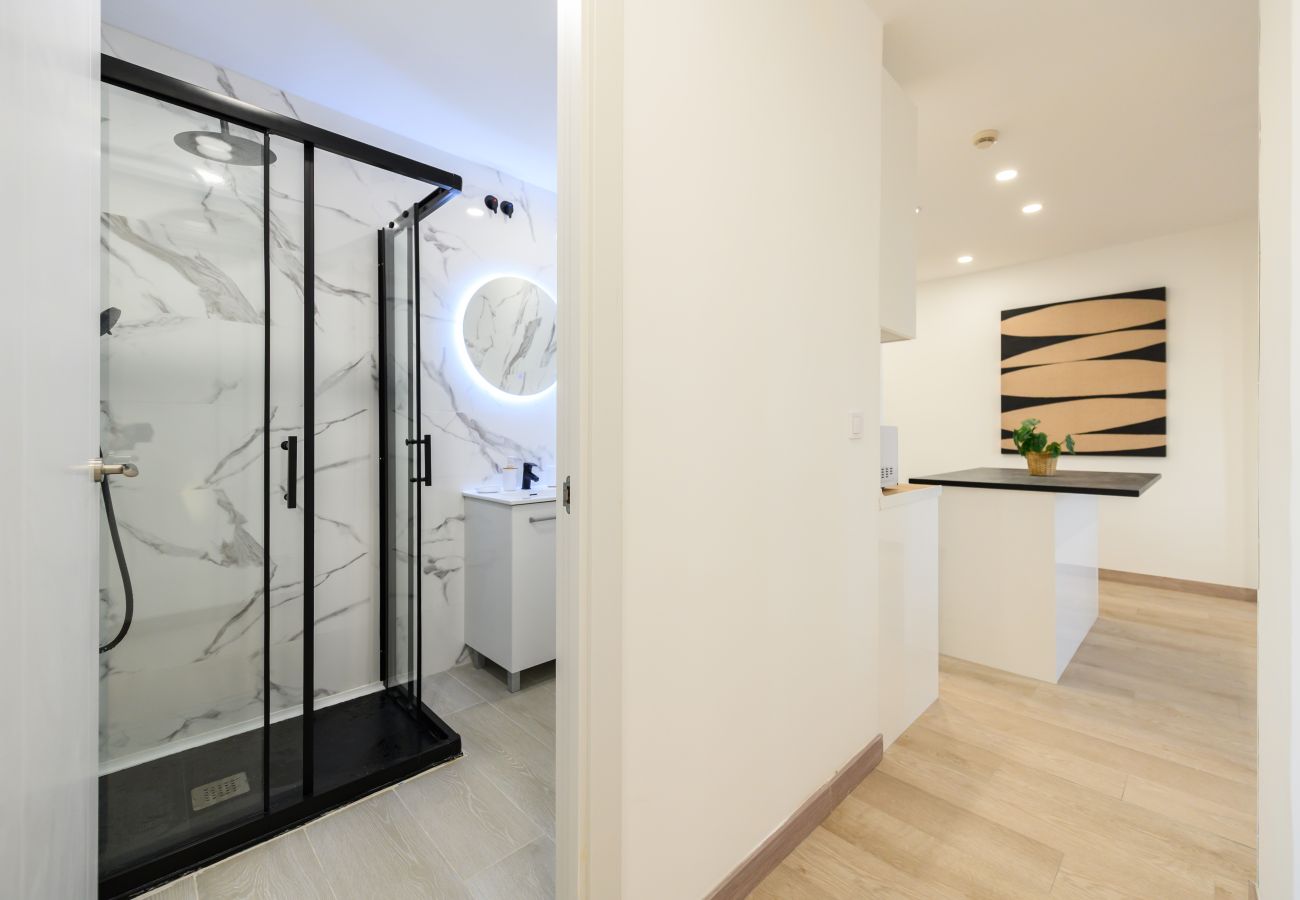 Apartment in Madrid - M (ABR1710B) Amplio piso de Lujo 2 dormitorios