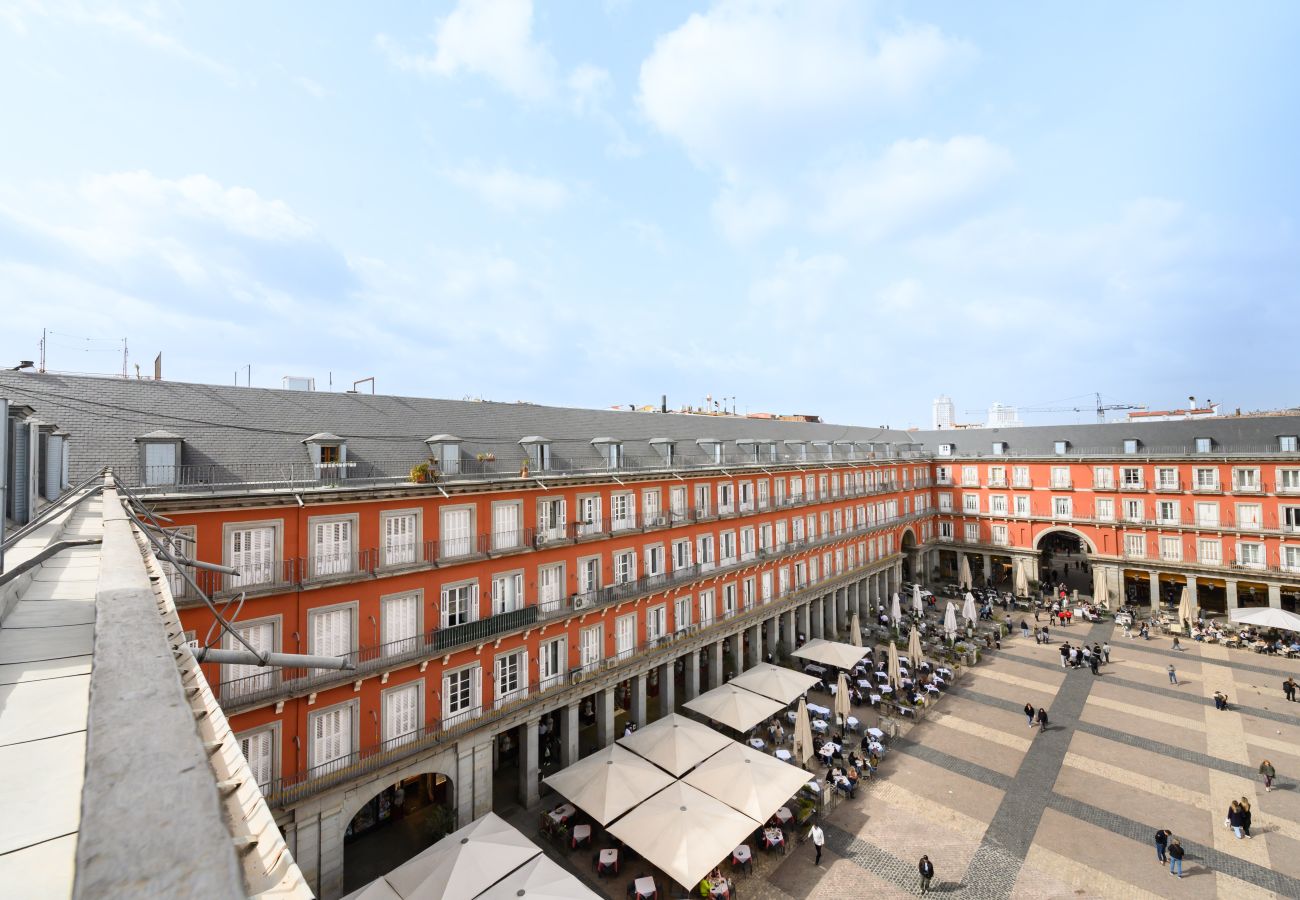 Apartment in Madrid - M (TOL241) Espectacular Piso en la Plaza Mayor