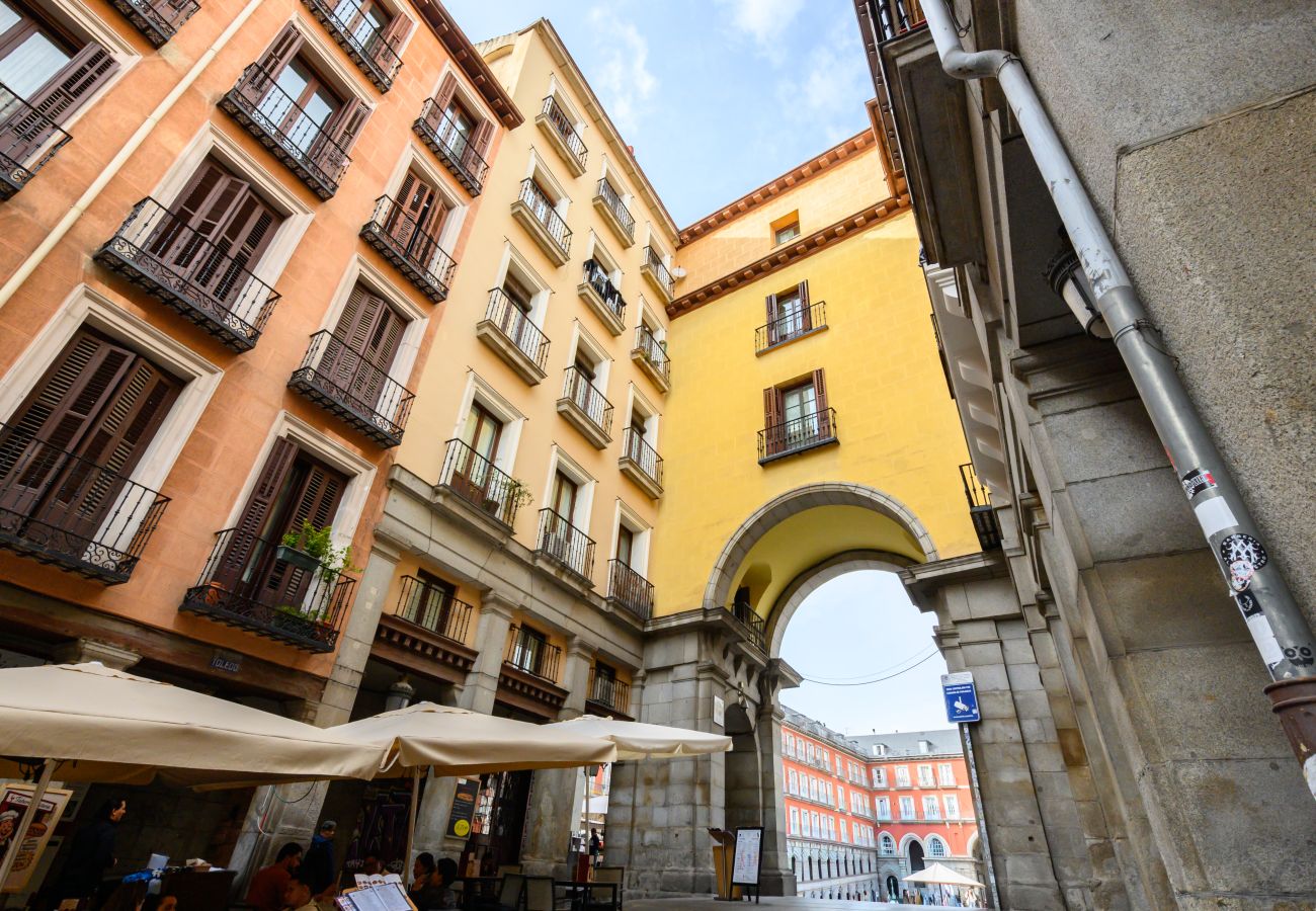 Apartment in Madrid - M (TOL241) Espectacular Piso en la Plaza Mayor
