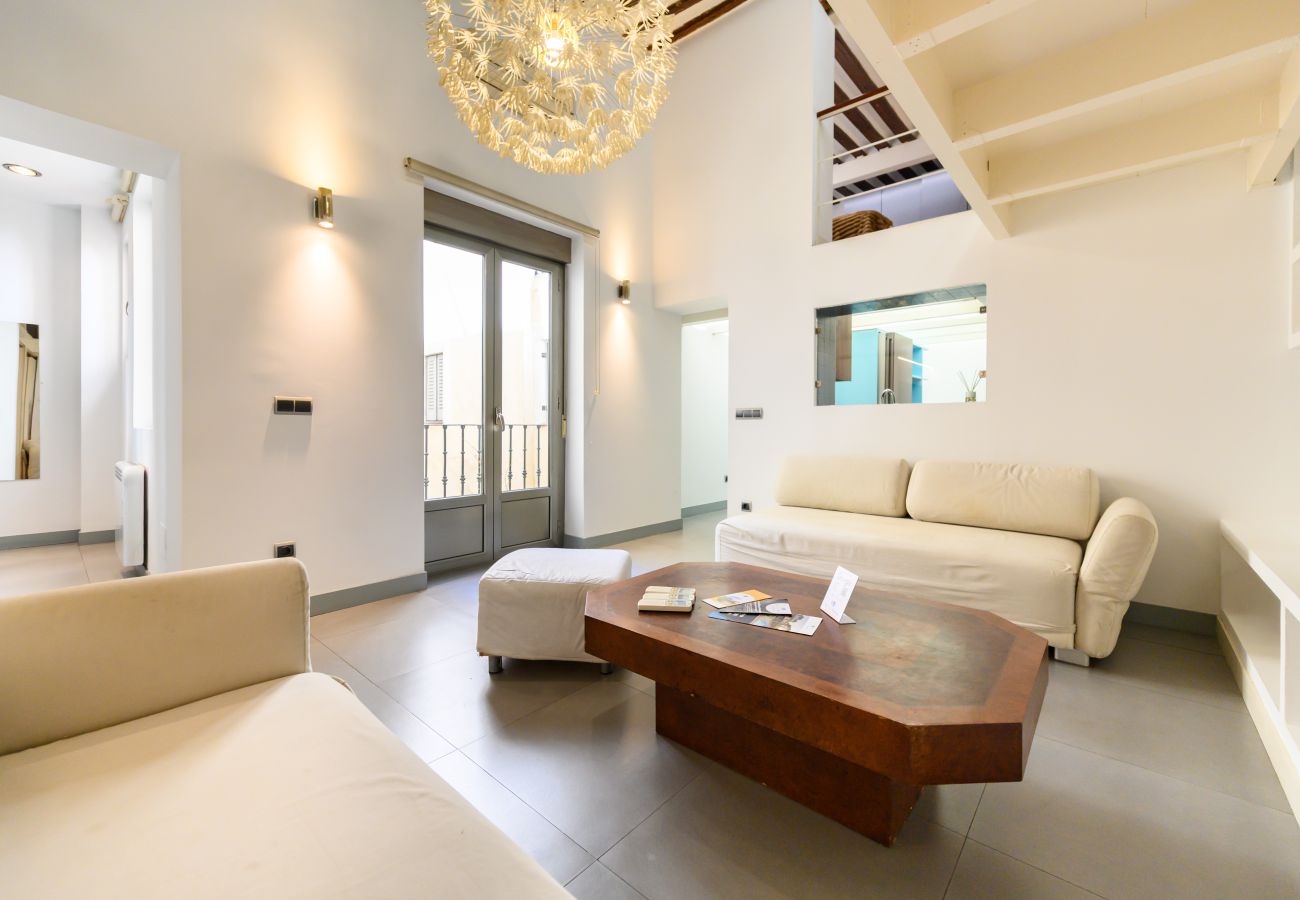 Apartment in Madrid - M (ESA121ID) Amplio Dúplex en el centro de Madrid