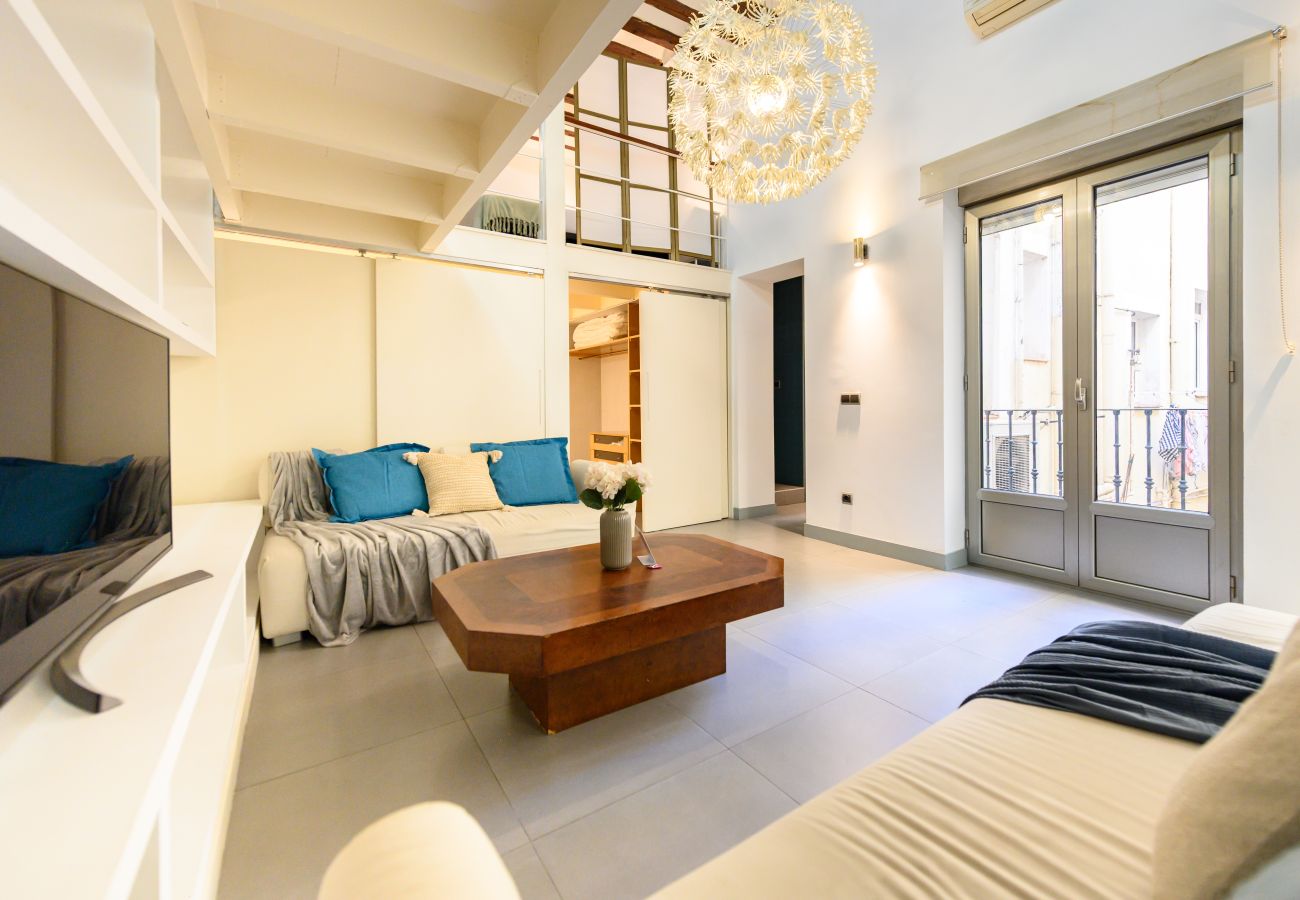Apartment in Madrid - M (ESA121ID) Amplio Dúplex en el centro de Madrid