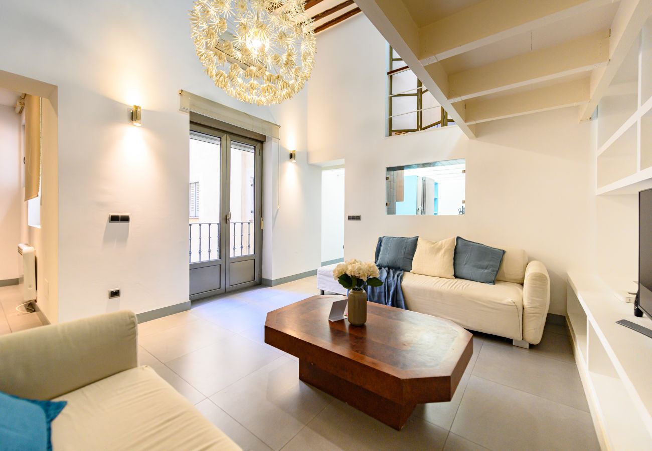 Apartment in Madrid - M (ESA121ID) Amplio Dúplex en el centro de Madrid