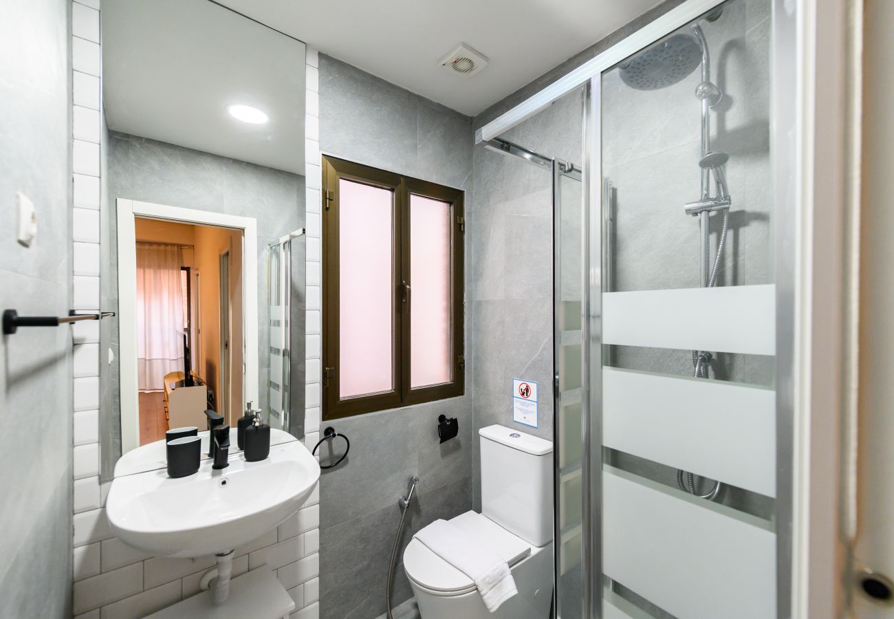 Apartment in Madrid - M (ADU151A) Piso 2 dormitorios en Sol, Centro de M